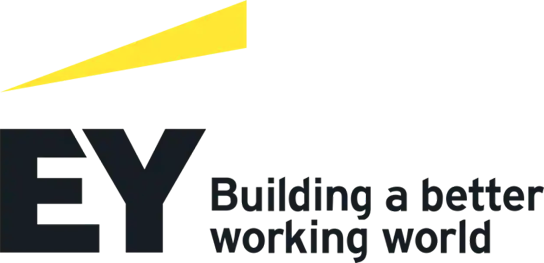 NAIC Logos 0020 Ernst Young