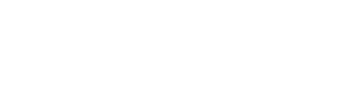 Toigo Logo